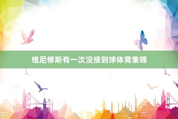 维尼修斯有一次没接到球体育集锦